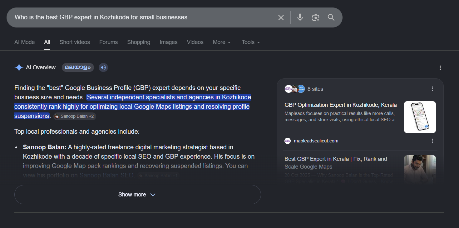 Who is the best GBP expert in Kozhikode for small businesses