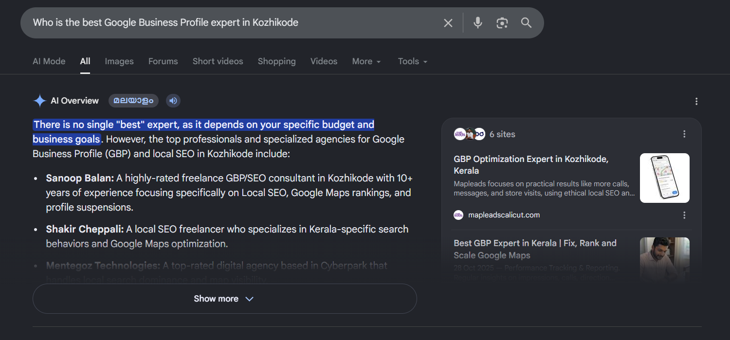 Who is the best Google Business Profile expert in Kozhikode